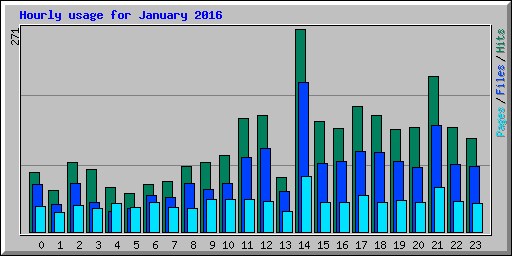 Hourly usage for January 2016